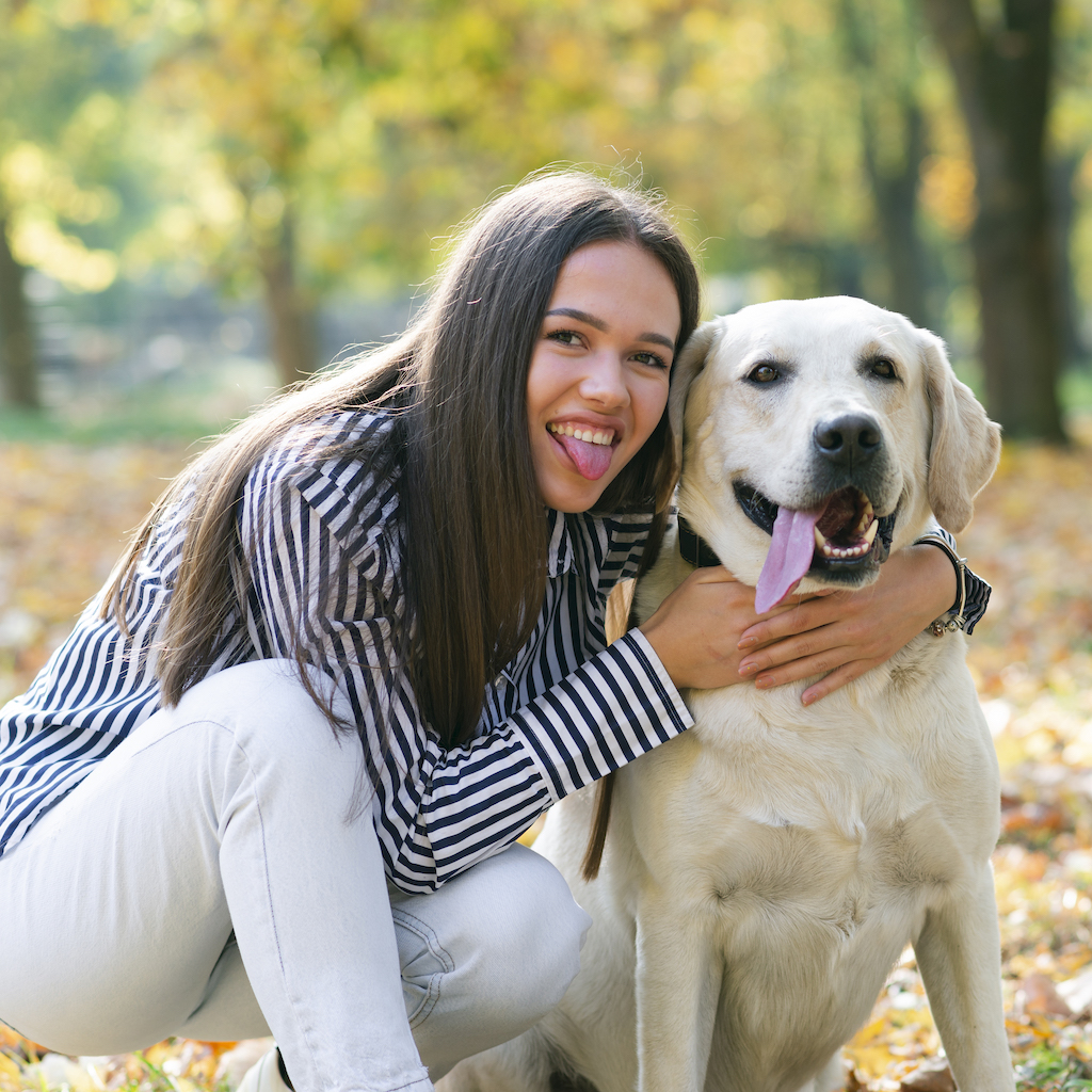 A woman and dog photo beside a warm editorial illustration.